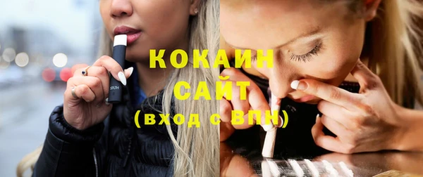 шишки Абинск