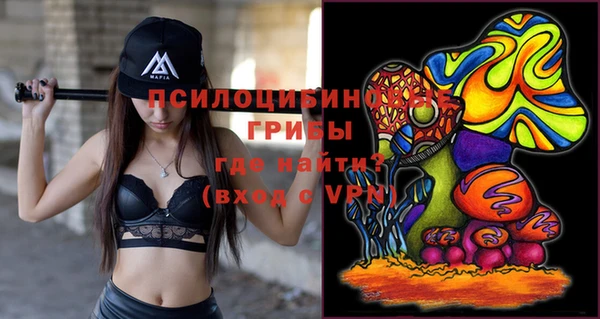 PSILOCYBIN Алексин