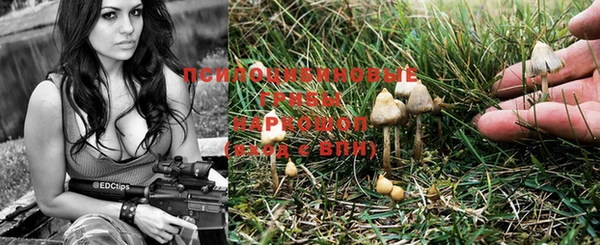 PSILOCYBIN Алексин