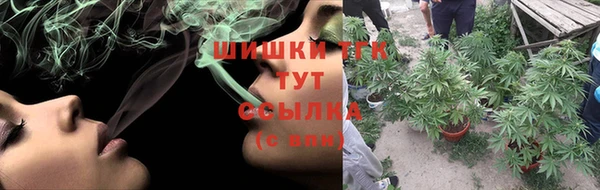 шишки Абинск